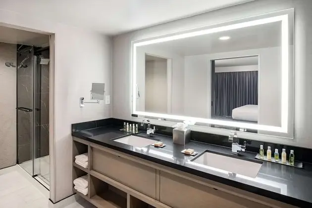 Süit, 1 En Büyük (King) Boy Yatak, Engellilere Uygun (Roll-In Shower)