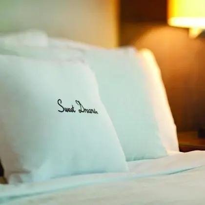 Deluxe Oda, 2 Tek Kişilik Yatak