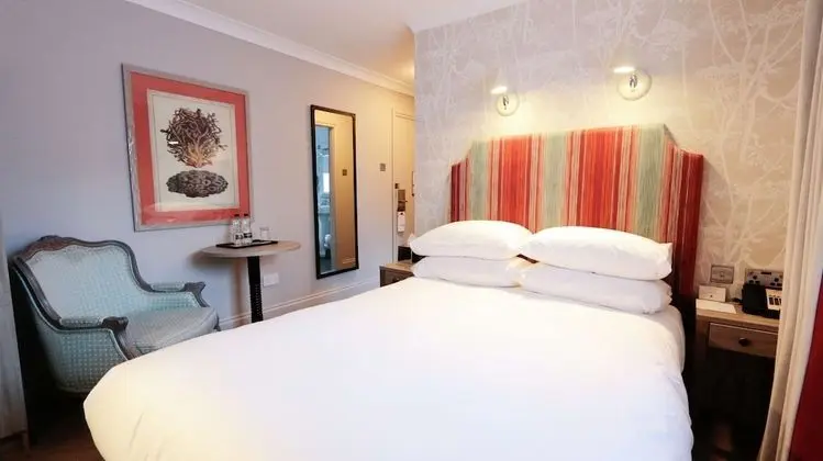 Oda, 1 Çift Kişilik Yatak (Cosy Room)