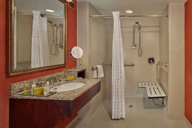 Oda, 1 En Büyük (King) Boy Yatak, Engellilere Uygun, Sigara İçilmez (Roll-in Shower)