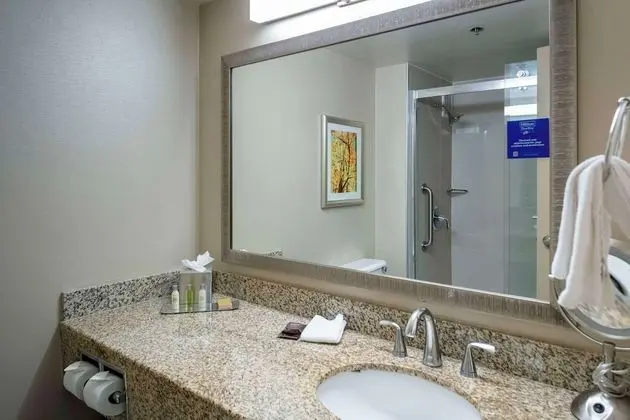 Oda, 1 En Büyük (King) Boy Yatak, Engellilere Uygun, Sigara İçilmez (Roll-in Shower)