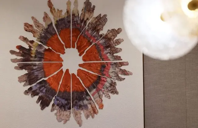 Oda, 1 En Büyük (King) Boy Yatak