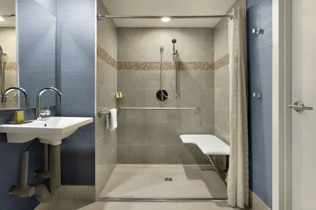 Süit, 1 En Büyük (King) Boy Yatak, Engellilere Uygun (3x3 Shower)
