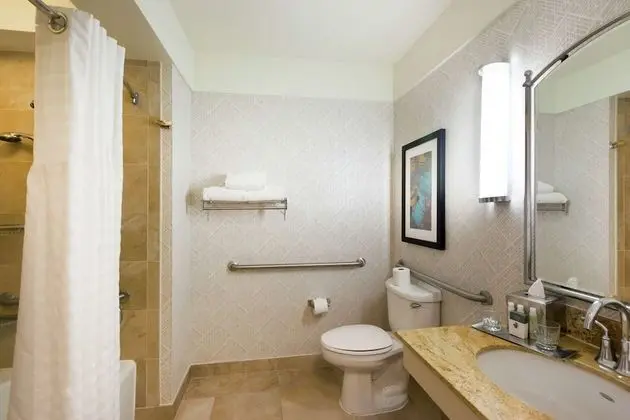 Oda, Engellilere Uygun, Sigara İçilmez (Roll-in Shower)