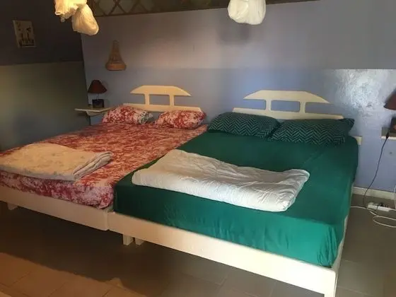 Economy Dört Kişilik Oda, 1 Yatak Odası, Sigara İçilmez, Havuz Manzaralı