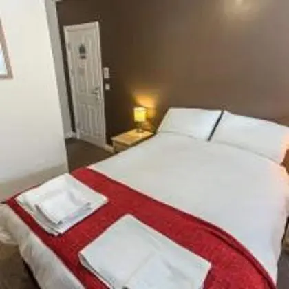 Deluxe Tek Büyük Yataklı Oda, 1 Çift Kişilik Yatak