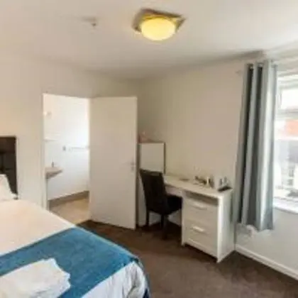 Standard Tek Büyük Yataklı Oda, 1 Çift Kişilik Yatak