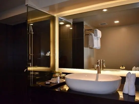 Deluxe Plus Double or Twin Room