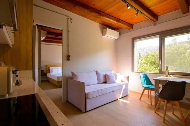 Villa, Kişiye Özel Havuzlu