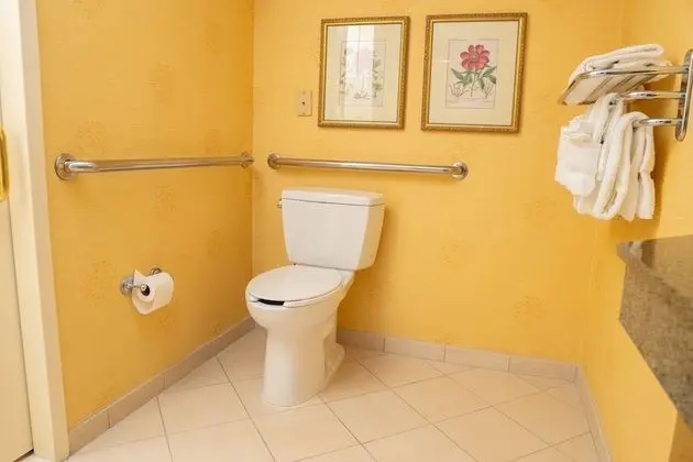 Deluxe Oda, 1 En Büyük (King) Boy Yatak