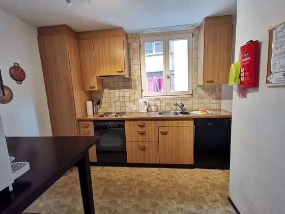 Apartment (51 incl 80 CHF cleaning fee)