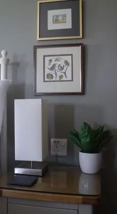 Superior Tek Büyük veya İki Ayrı Yataklı Oda (Dartmouth)