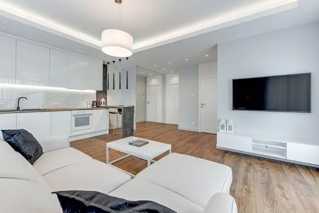Executive Apart Daire, 1 Büyük (Queen) Boy Yatak ve Çekyat