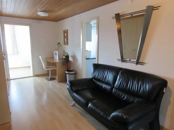 Apart Daire (42 incl 80 CHF cleaning fee)