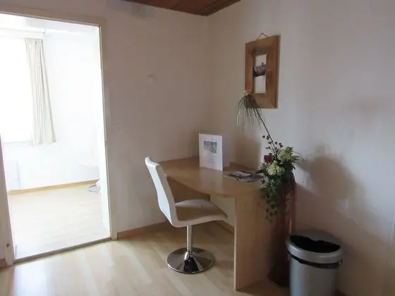 Apart Daire (42 incl 80 CHF cleaning fee)