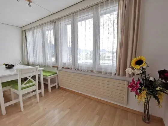 Apart Daire (42 incl 80 CHF cleaning fee)