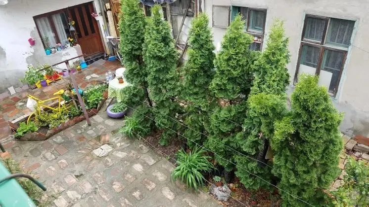 City Dubleks, Avlu Manzaralı