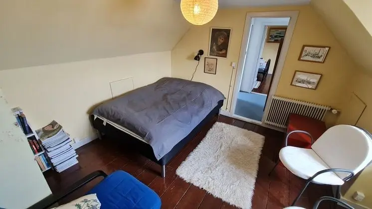 Traditional Villa