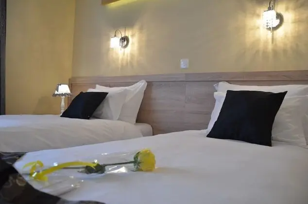 Deluxe İki Ayrı Yataklı Oda, Şehir Manzaralı