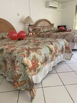 Deluxe Oda, Şehir Manzaralı