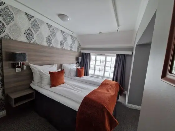 Standard Tek Büyük Yataklı Oda, 1 Çift Kişilik Yatak