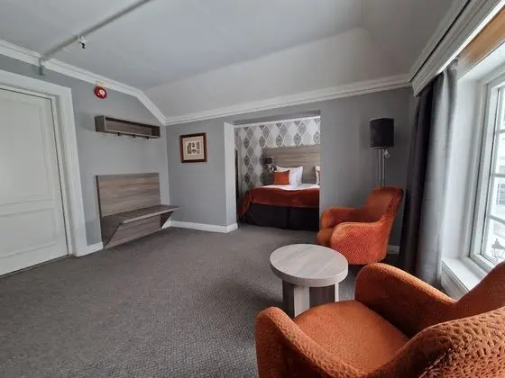 Standard Tek Büyük Yataklı Oda, 1 Çift Kişilik Yatak