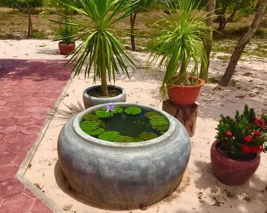 Ev, Göl Manzaralı (Modern, no hot water)