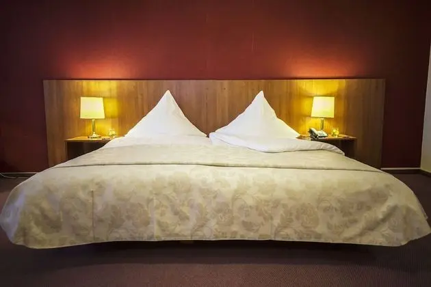 Comfort Tek Büyük Yataklı Oda, Nehir Manzaralı