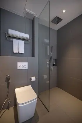 Deluxe Tek Büyük veya İki Ayrı Yataklı Oda, Şehir Manzaralı
