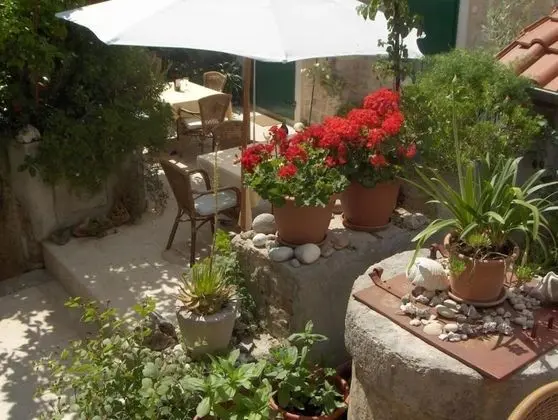 Stüdyo (Draga - traditional & in center - SA1)