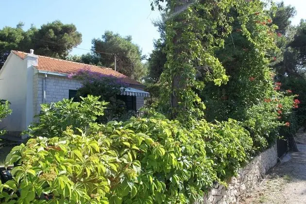 Ev (Dragan - 50m from sea - H(4))