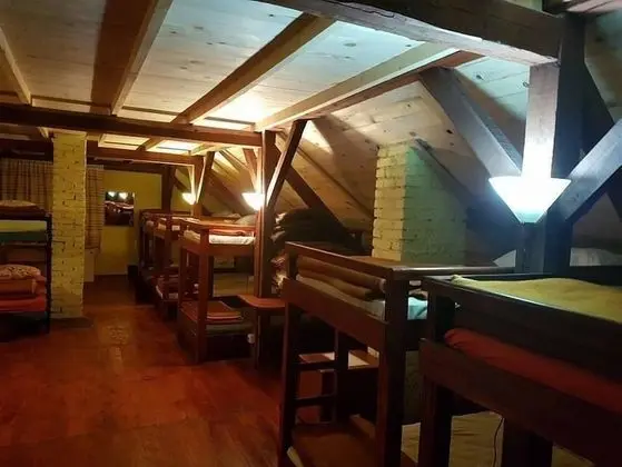 Basic Ortak Ranzalı Oda, Karma Ranzalı Oda, Ortak Banyo (1 bed in 28 beds dorm)