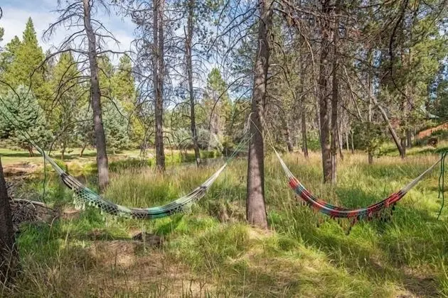Ev, Birden Çok Yatak (Dragonfly Cabin)