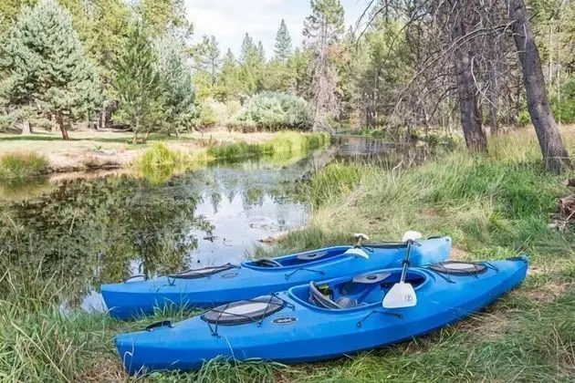 Ev, Birden Çok Yatak (Dragonfly Cabin)