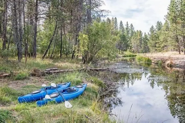 Ev, Birden Çok Yatak (Dragonfly Cabin)