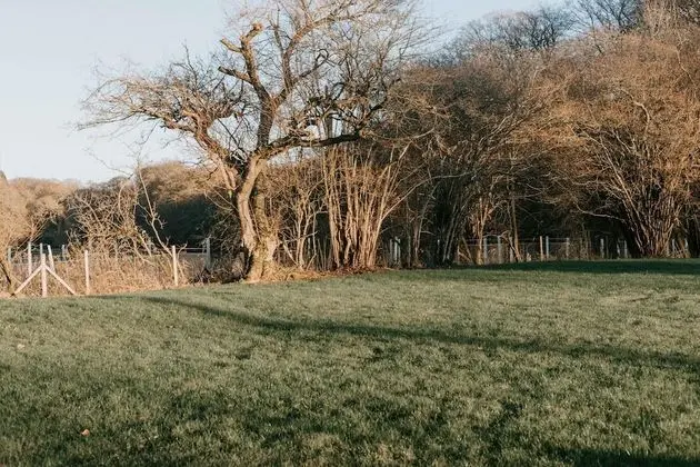 Ev
