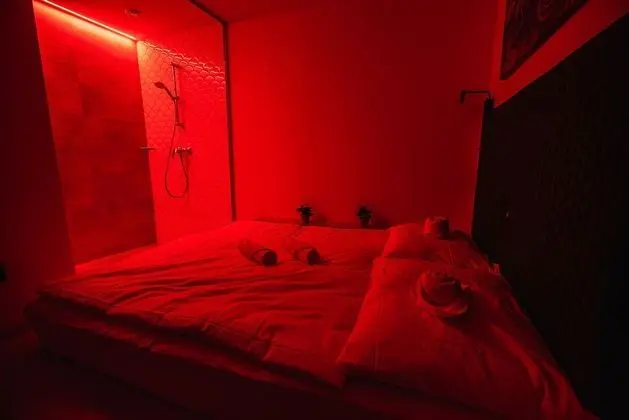 Tek Büyük Yataklı Oda (Deluxe Double Room)