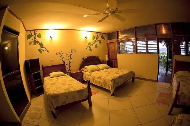 Standard Tek Büyük veya İki Ayrı Yataklı Oda