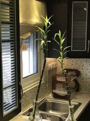 Deluxe Apart Daire, 1 Yatak Odası