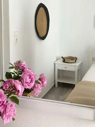 Standard Oda, Bahçe Manzaralı
