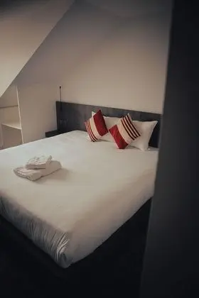 Standard Tek Büyük Yataklı Oda, 1 Çift Kişilik Yatak
