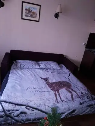 Apart Daire, 1 Büyük (Queen) Boy Yatak ve Çekyat