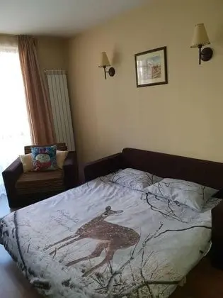 Apart Daire, 1 Büyük (Queen) Boy Yatak ve Çekyat