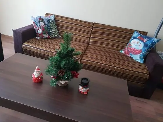 Apart Daire, 1 Büyük (Queen) Boy Yatak ve Çekyat