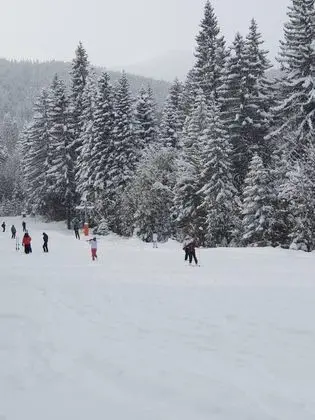 Apart Daire, 1 Büyük (Queen) Boy Yatak ve Çekyat