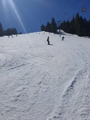 Apart Daire, 1 Büyük (Queen) Boy Yatak ve Çekyat