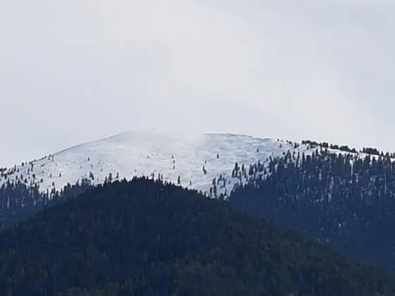 Apart Daire, 1 Büyük (Queen) Boy Yatak ve Çekyat