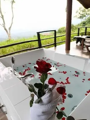 Özel spa küveti