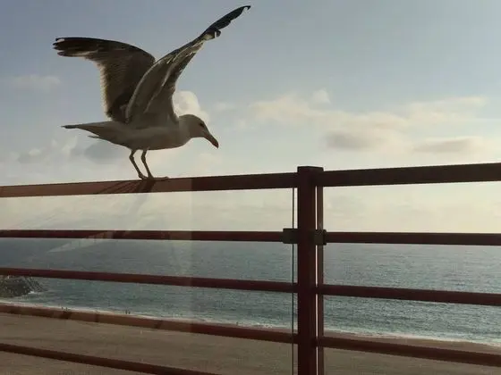 Apart Daire, Birden Çok Yatak