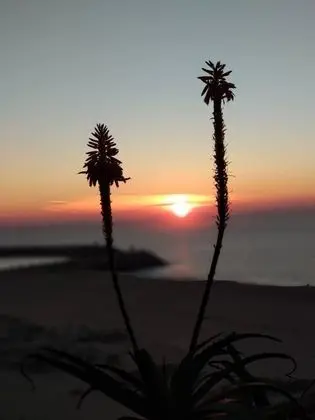 Apart Daire, Birden Çok Yatak